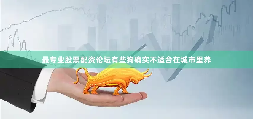 最专业股票配资论坛有些狗确实不适合在城市里养