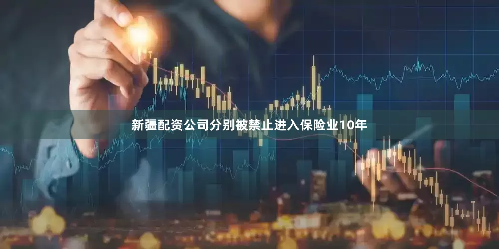 新疆配资公司分别被禁止进入保险业10年