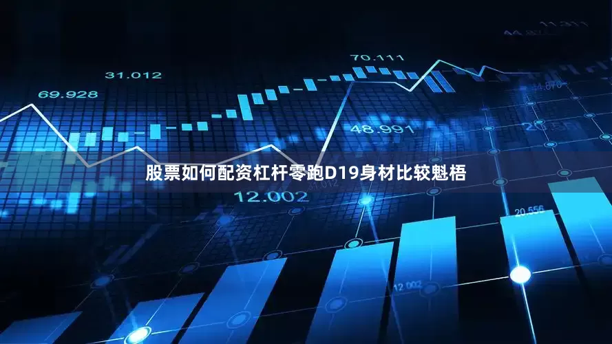 股票如何配资杠杆零跑D19身材比较魁梧